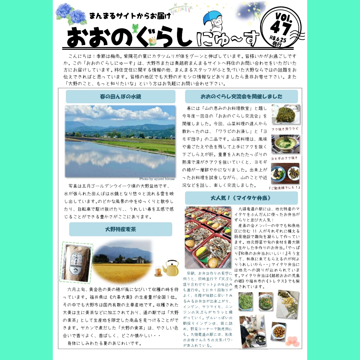 おおのぐらしにゅーすを発行しました