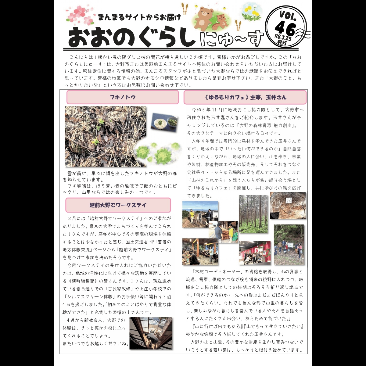 おおのぐらしにゅーすを発行しました